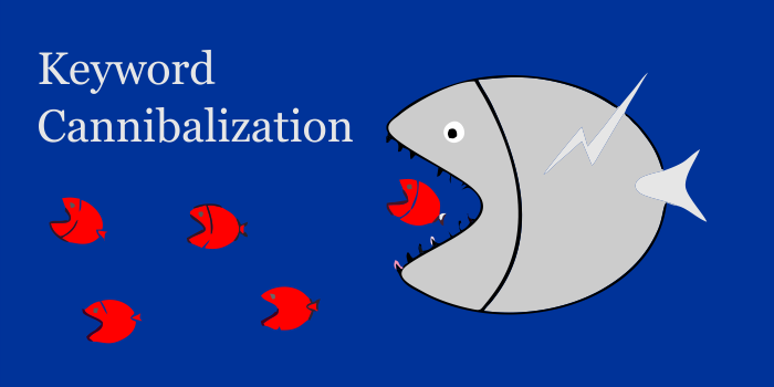 Keyword Cannibalization Nedir ve Nasıl Çözülür?