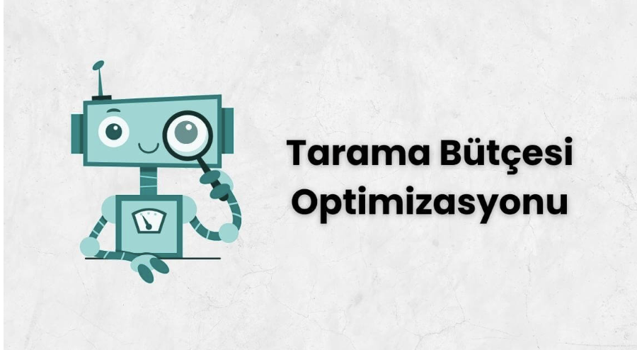 Scan Budget Optimization in 7 Steps