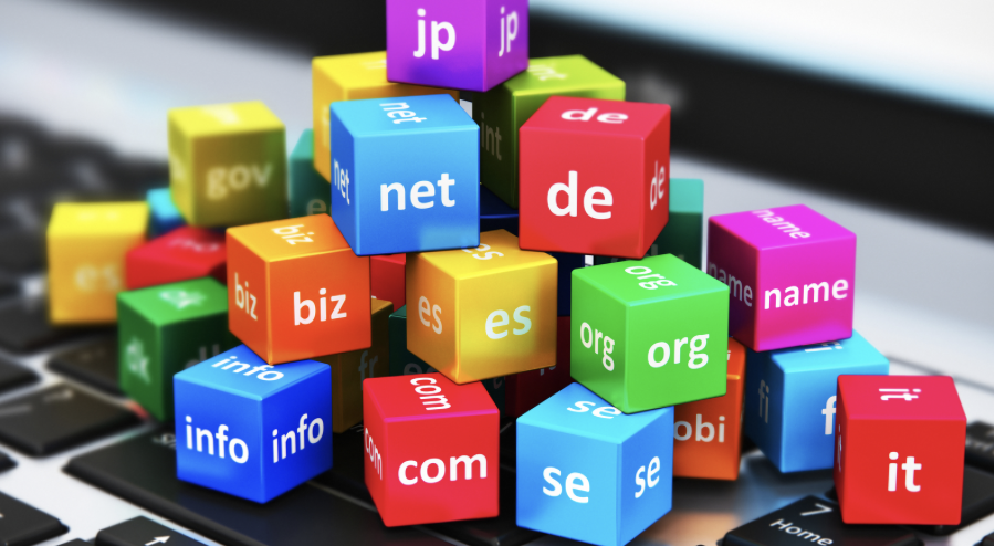 How to Check Domain History?