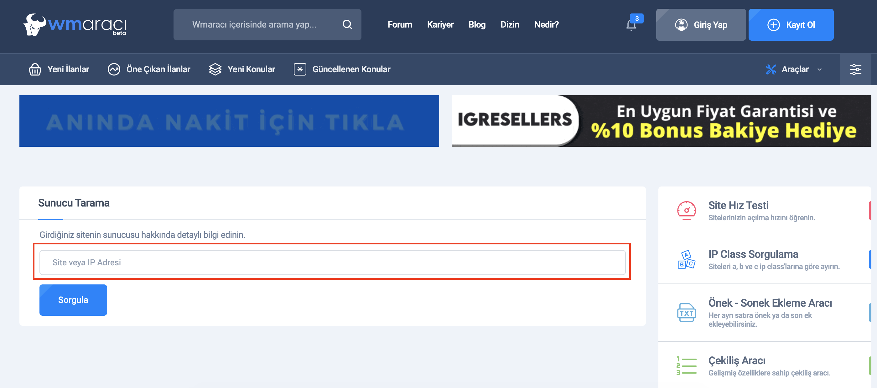 Class IP ve Sunucunun SEO'ya Etkileri