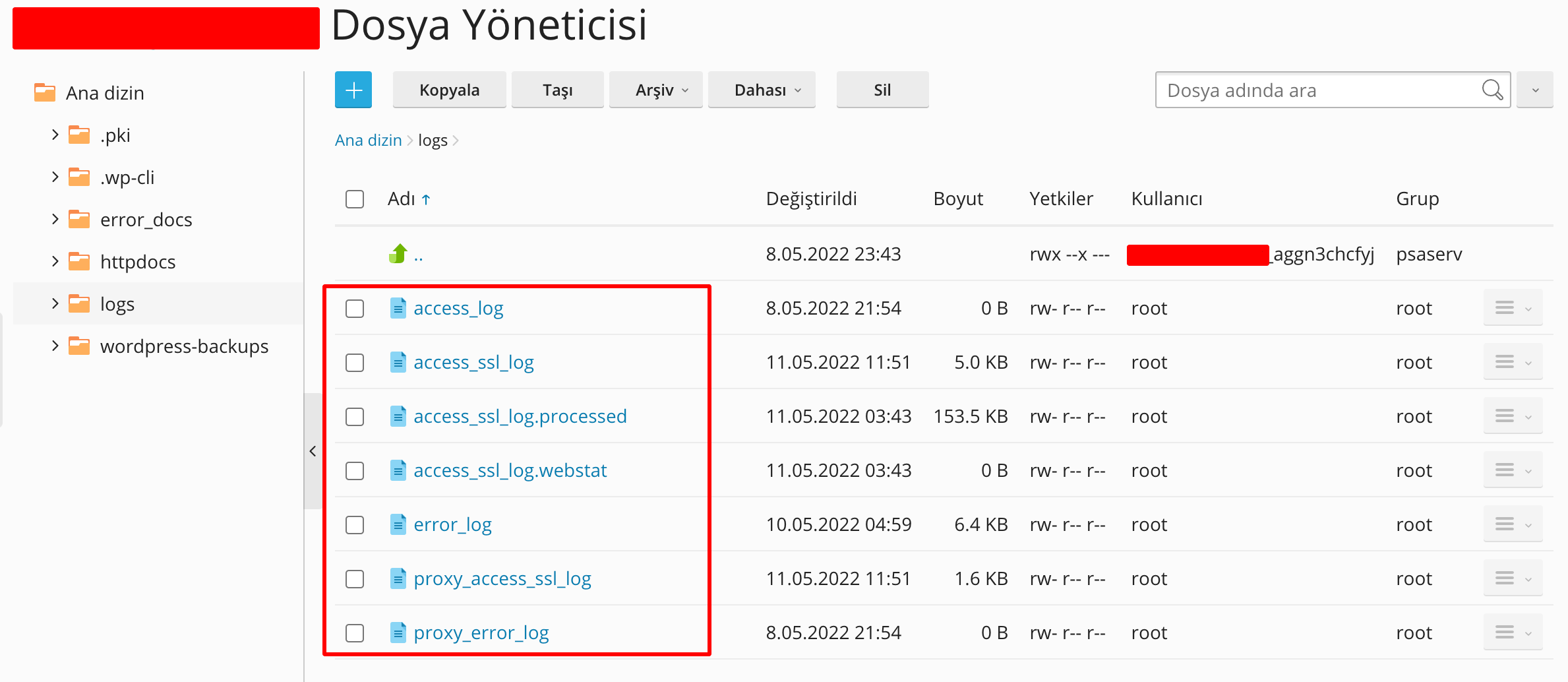 SEO Performansı Açısından Log Dosyası Analizi