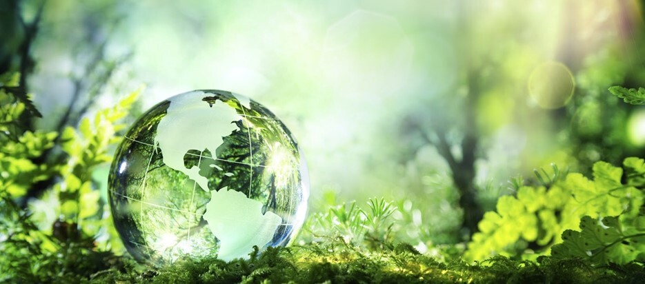 Sustainability in E-Commerce
