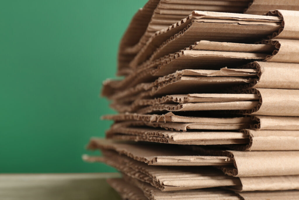 Sustainability in E-Commerce