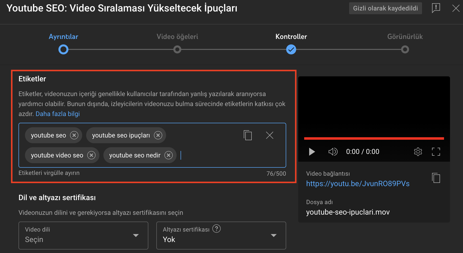 Youtube SEO: Video Arama Sıralamanızı Yükseltecek İpuçları