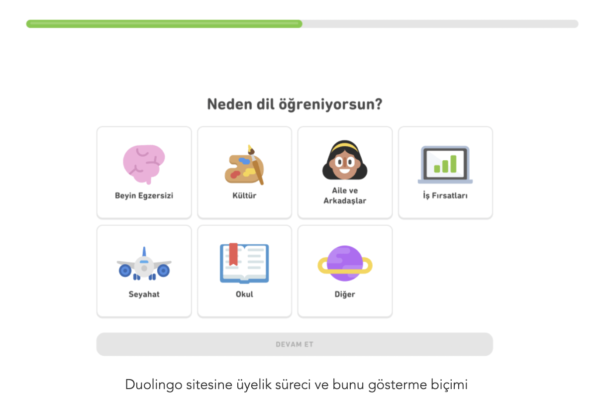 Duolingo Progress Example
