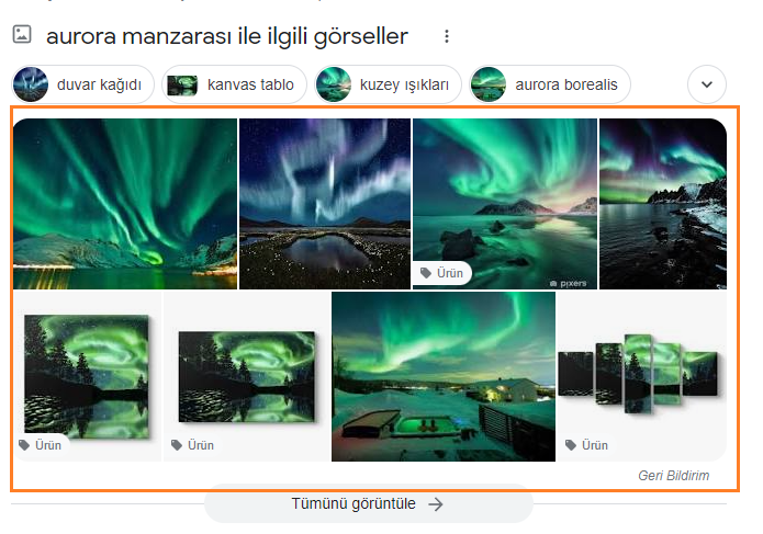 Google Search Snippet Türleri ve Teknikleri